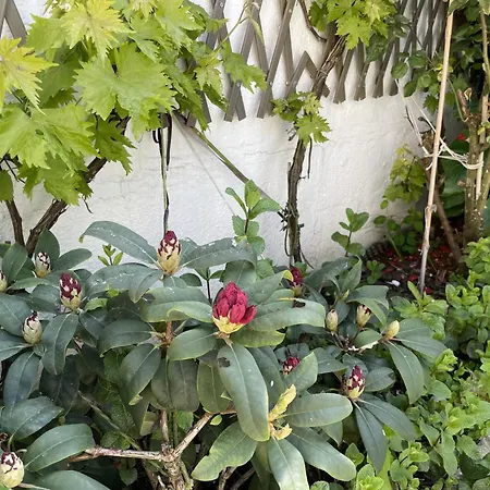 Holiday home Maison 3 Chambres, Avec Terrasse Au Calme Et A 8mn A Pied !