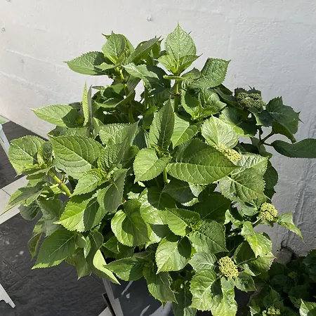 Maison 3 Chambres, Avec Terrasse Au Calme Et A 8mn A Pied ! Holiday home *